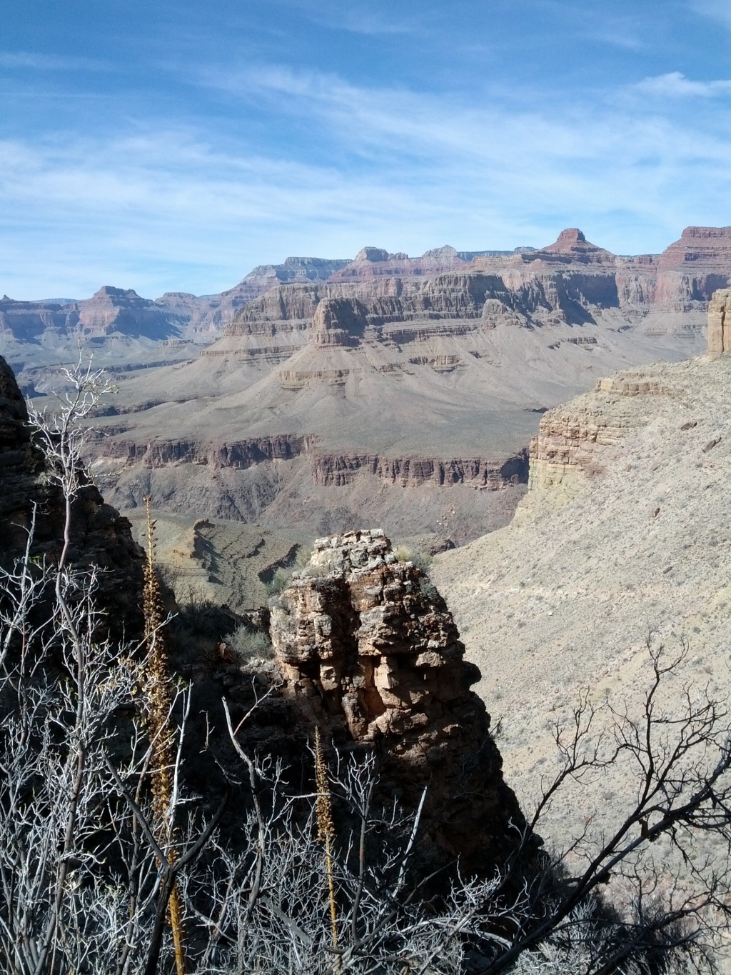 IMG_20130314_142629.jpg
